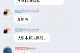 鹤岗贷款清欠服务